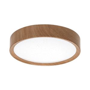 B.V. - LED Stropné svietidlo LED/12W/230V 6500K pr. 26, 3 cm B103101BR vyobraziť