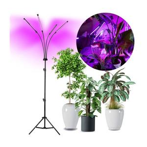 Brilagi-LED Stmiev. stojacia lampa na pestovanie rastlín VITABLOOM 4xLED/7, 5W/230V 004072 vyobraziť