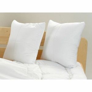 Kvalitex Vankúš Luxus plus so zipsom, 40 x 40 cm vyobraziť
