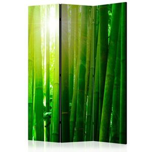 Paraván Sun and bamboo Dekorhome vyobraziť