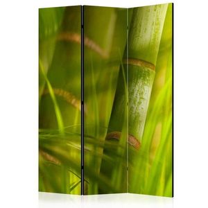 Paraván Bamboo - nature zen Dekorhome vyobraziť