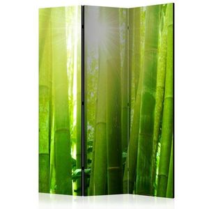 Paraván Sun and bamboo Dekorhome vyobraziť