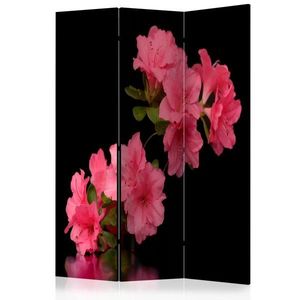 Paraván Azalea in Black Dekorhome vyobraziť