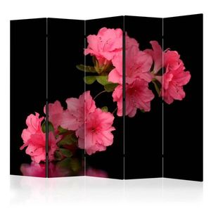 Paraván Azalea in Black Dekorhome vyobraziť