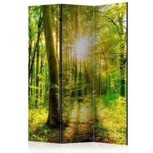 Paraván Forest Rays Dekorhome vyobraziť