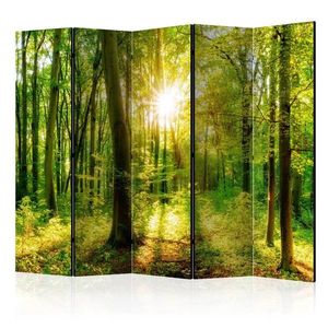 Paraván Forest Rays Dekorhome vyobraziť