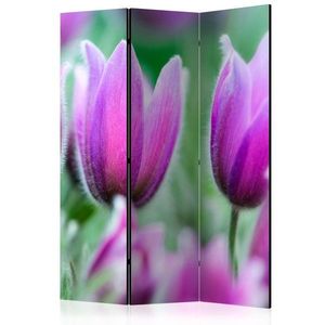 Paraván Purple spring tulips Dekorhome vyobraziť