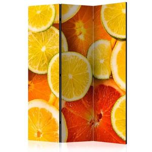 Paraván Citrus fruits Dekorhome vyobraziť