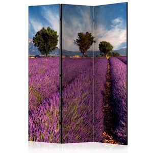 Paraván Lavender field in Provence, France Dekorhome vyobraziť