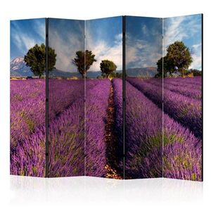 Paraván Lavender field in Provence, France Dekorhome vyobraziť