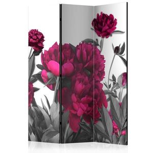 Paraván Lush meadow Dekorhome vyobraziť