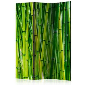 Paraván Bamboo Forest Dekorhome vyobraziť