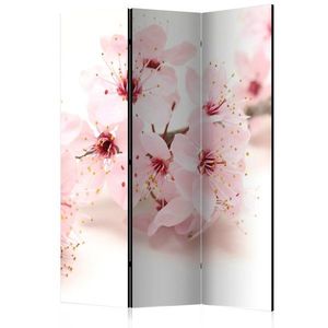 Paraván Cherry Blossom Dekorhome vyobraziť
