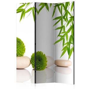 Paraván Green Relax Dekorhome vyobraziť