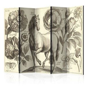 Paraván Horse Dekorhome vyobraziť