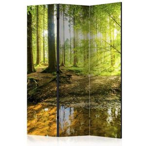 Paraván Forest Lake Dekorhome vyobraziť
