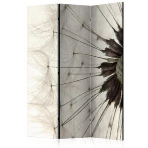 Paraván White Dandelion Dekorhome vyobraziť