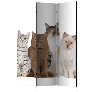 Paraván Sweet Cats Dekorhome vyobraziť