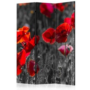 Paraván Red Poppies Dekorhome vyobraziť