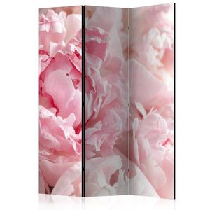 Paraván Sweet Peonies Dekorhome vyobraziť