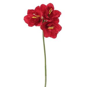 Umelý Amarylis tmavočervená, 54 cm vyobraziť