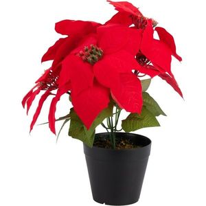 Umelá vianočná kvetina Poinsettia v kvetináči, 25 x 30 cm vyobraziť