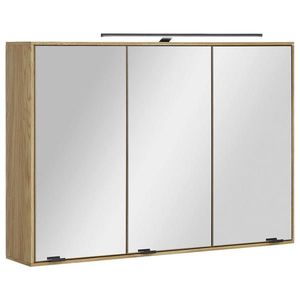 Linea Natura ZRKADLOVÁ SKRINKA, farba duba, 100/70/20 cm vyobraziť
