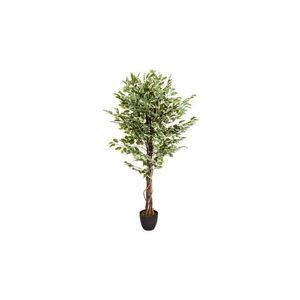hjh OFFICE Umelá rastlina FICUS vyobraziť