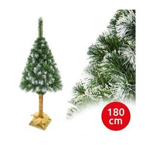 Vianočný stromček na kmeni 180 cm borovica EL-SODEP180 vyobraziť