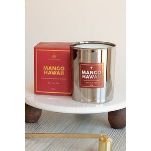 Sviečka Mango Hawaii Silver vyobraziť