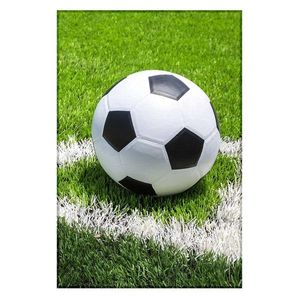 Jerry Fabrics Fleecová deka s motívom Futbal - 100 x 150 cm vyobraziť