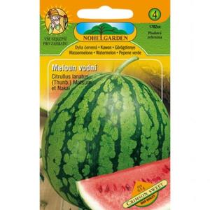 Melón vodný červený vyobraziť