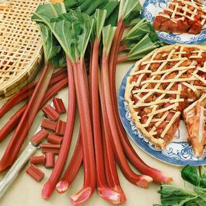 Rebarbora Victoria vyobraziť