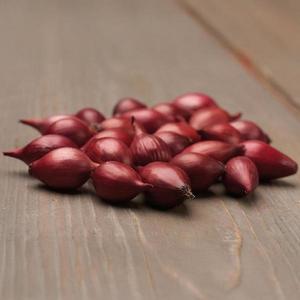Cibuľa red karmen 300g /8-21mm/ červená vyobraziť