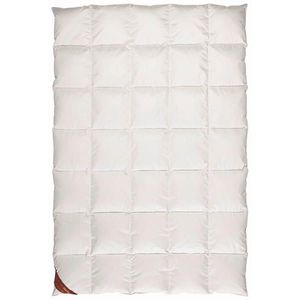 Centa-Star ZIMNÁ PRIKRÝVKA, 135/200 cm, kačacie páperie vyobraziť