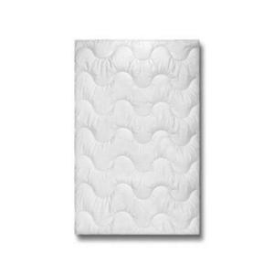 John Cotton CELOROČNÁ PRIKRÝVKA, 155/220 cm, polyester vyobraziť