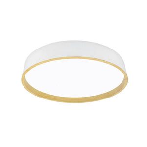 STROPNÉ LED SVIETIDLO, 50/8 cm vyobraziť