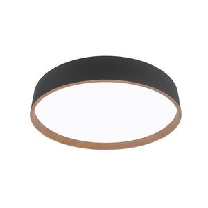 LED STROPNÁ LAMPA, 40/8 cm vyobraziť