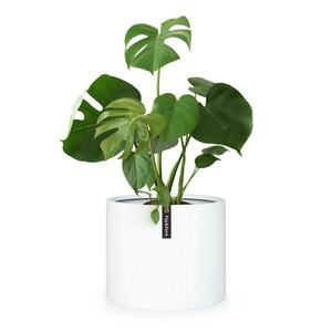 Fox & Fern Gendt, kvetináč, fiberstone, interiér/exteriér vyobraziť