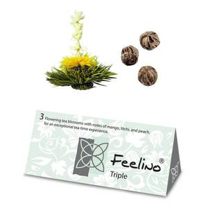 Feelino Čajové kvety, 6 rôznych odrôd, jednotlivo balené, veľmi produktívne vyobraziť