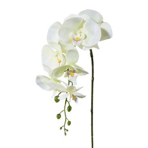 Umelá orchidea biela vyobraziť
