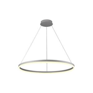 Brilagi - LED stmievateľný luster na lanku CIRCLE LED/55W/230V 3000-6500K strieborný + DO BG-J4309/S vyobraziť
