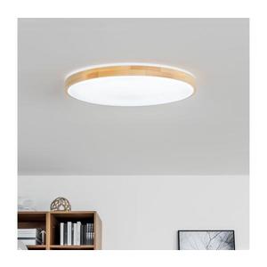 Brilagi - LED stmievateľné stropné svietidlo PINE LED/60W/230V + diaľkové ovládanie BRLD500-60W/LED/SD vyobraziť