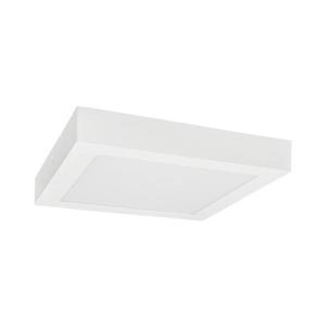 Greenlux LED Stropné svietidlo FENIX LED/12W/230V 3800K 17 cm snehovo biela vyobraziť