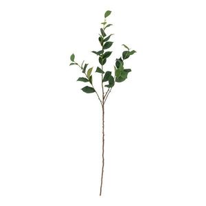 Umelý eukalyptus (výška 110 cm) Eucalyptus – Bloomingville vyobraziť