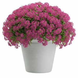 Plastový kvetináč Riflo 40x46 cm biely vyobraziť