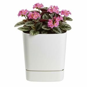Plastový kvetináč s podmiskou Cubi 16x16 cm - výber z 6 prevedení vyobraziť