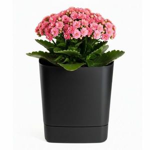 Plastový kvetináč s podmiskou Cubi 19x19 cm - výber z 6 prevedení vyobraziť