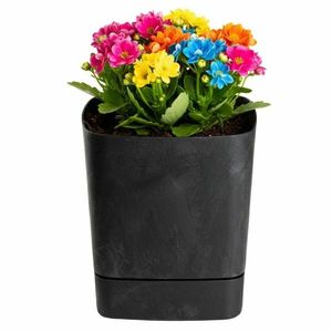 Plastový květináč s podmiskou Cubi 19x19 cm - výber z 6 prevedení vyobraziť
