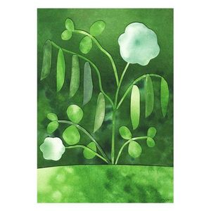 Plagát 50x70 cm Peas in Bloom – Anna Ravn Bjørn – The Poster Club vyobraziť
